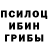 Галлюциногенные грибы Cubensis Mizos