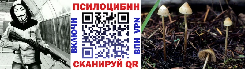 нарко площадка какой сайт  купить наркоту  Новая Усмань  Псилоцибиновые грибы прущие грибы 