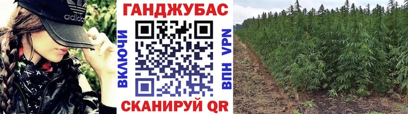 Бошки марихуана AK-47  где купить наркоту  Новая Усмань 